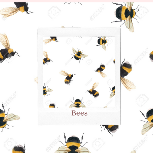 PRE ORDER - Bees