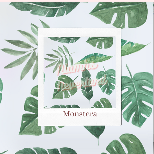 Monstera Design