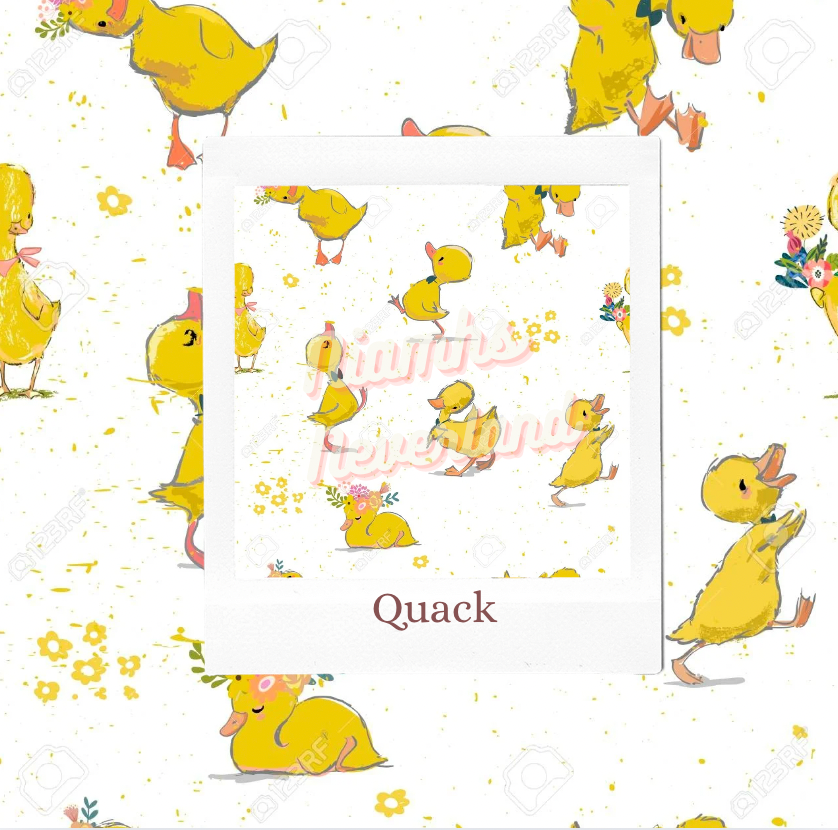 PRE ORDER - Quacks